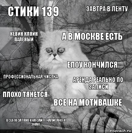 стики 139 аренда реально по записи а в москве есть в 3.0 10 затяжек на сайте написано я знаю профессиональная чистка завтра в ленту все на мотивашке кевин кляйн паленый плохо тянется елоу кончился, Комикс  кот безысходность