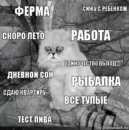 ферма рыбалка работа тест пива дневной сон сижу с ребенком все тупые скоро лето сдаю квартиру одиночество выход, Комикс  кот безысходность