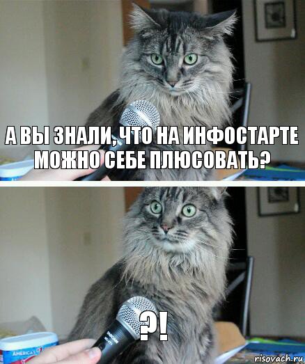 А вы знали, что на Инфостарте можно себе плюсовать? ?!, Комикс  кот с микрофоном