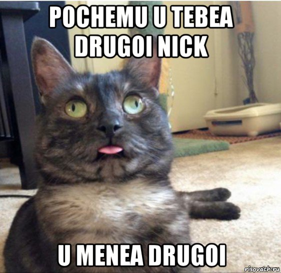 pochemu u tebea drugoi nick u menea drugoi, Мем   Кот завис