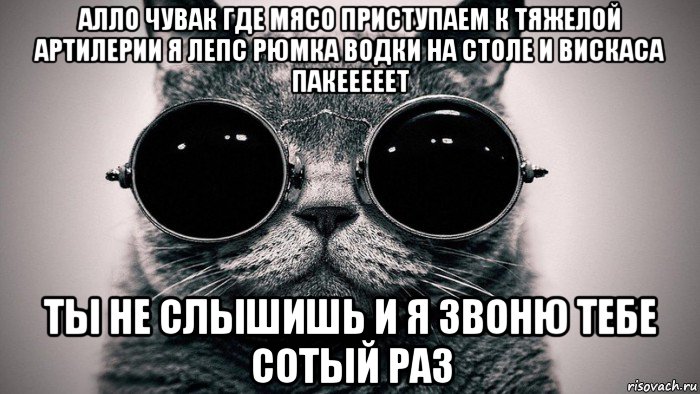 алло чувак где мясо приступаем к тяжелой артилерии я лепс рюмка водки на столе и вискаса пакееееет ты не слышишь и я звоню тебе сотый раз, Мем Котоматрица