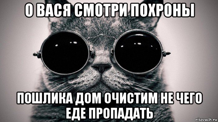 о вася смотри похроны пошлика дом очистим не чего еде пропадать, Мем Котоматрица