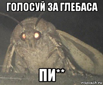 голосуй за глебаса пи**