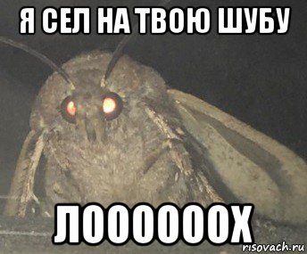 я сел на твою шубу лоооооох