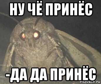 ну чё принёс -да да принёс, Мем Матылёк