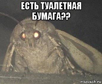 есть туалетная бумага?? 