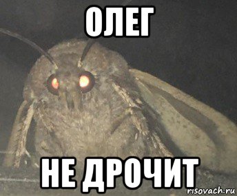 олег не дрочит