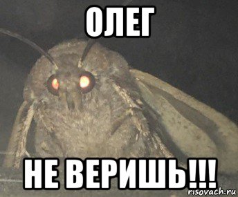 олег не веришь!!!