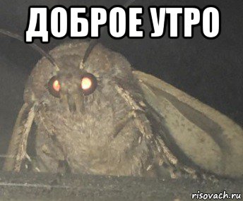 доброе утро 