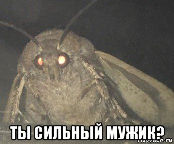  ты сильный мужик?