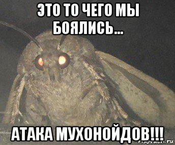 это то чего мы боялись... атака мухонойдов!!!