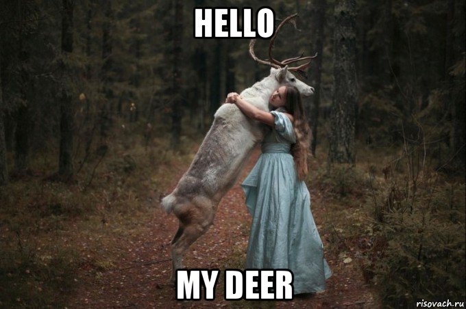hello my deer, Мем Наивный Олень шаблон 5