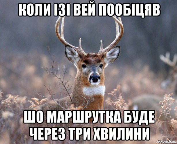 коли ізі вей пообіцяв шо маршрутка буде через три хвилини