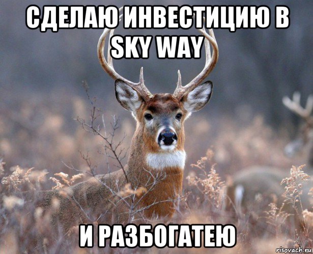 сделаю инвестицию в sky way и разбогатею