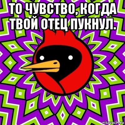 то чувство, когда твой отец пукнул. , Мем Омская птица