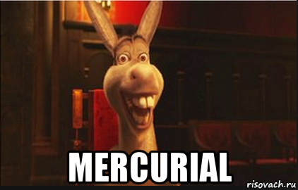  mercurial