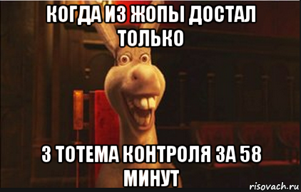 когда из жопы достал только 3 тотема контроля за 58 минут, Мем Осел из Шрека