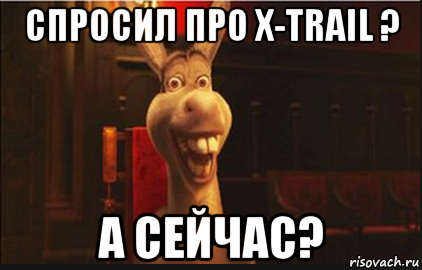 Уже приехали осел. Осел а сейчас приехали. Осел Мем. Осел из Шрека в карете. Мы уже приехали осел из Шрека.