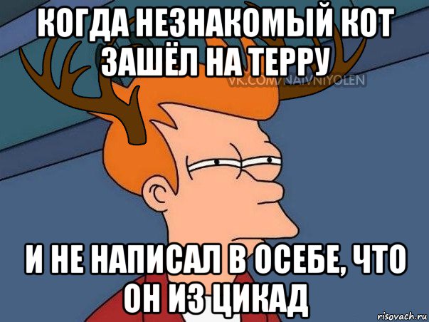 когда незнакомый кот зашёл на терру и не написал в осебе, что он из цикад, Мем  Подозрительный олень