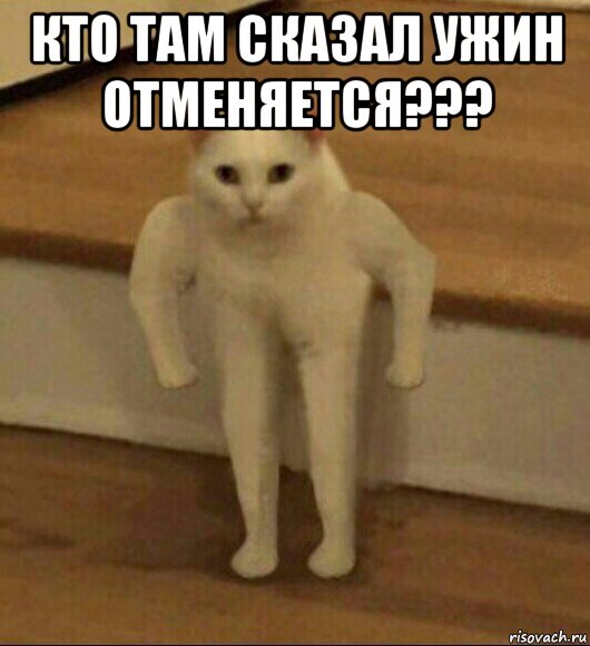 кто там сказал ужин отменяется??? , Мем  Полукот