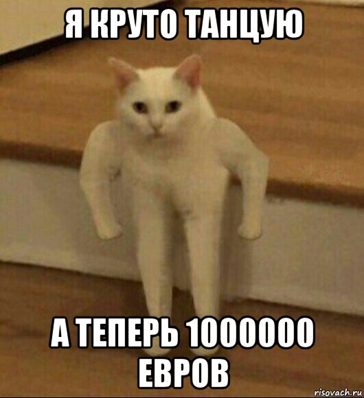 я круто танцую а теперь 1000000 евров, Мем  Полукот