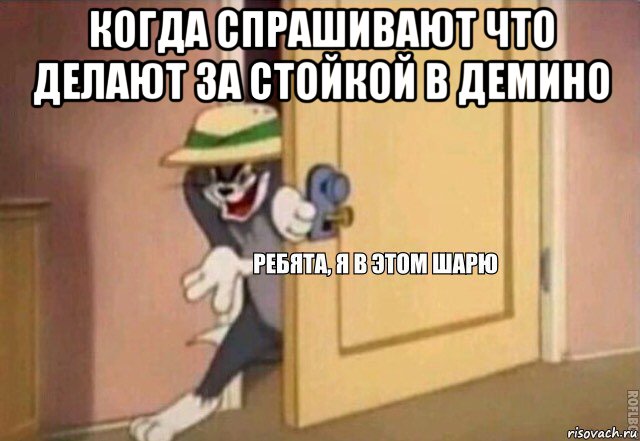 когда спрашивают что делают за стойкой в демино , Мем    Ребята я в этом шарю