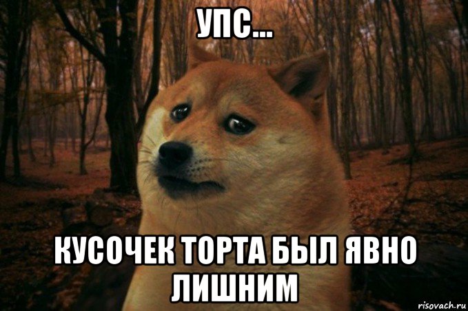 упс... кусочек торта был явно лишним, Мем SAD DOGE