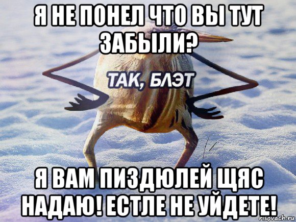 я не понел что вы тут забыли? я вам пиздюлей щяс надаю! естле не уйдете!, Мем  Так блэт птица с руками