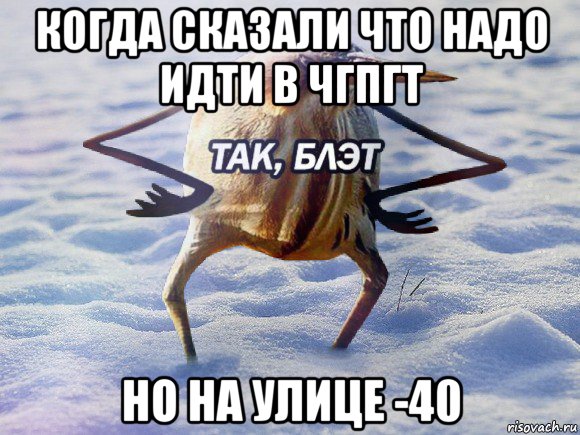 когда сказали что надо идти в чгпгт но на улице -40, Мем  Так блэт птица с руками