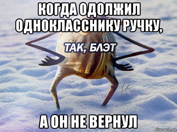 когда одолжил однокласснику ручку, а он не вернул, Мем  Так блэт птица с руками