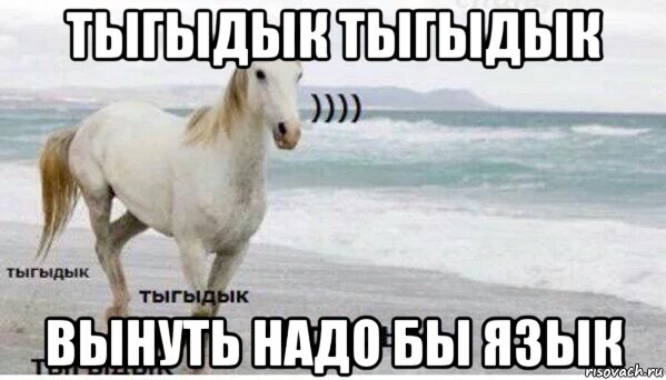 тыгыдык тыгыдык вынуть надо бы язык, Мем   Тыгыдык