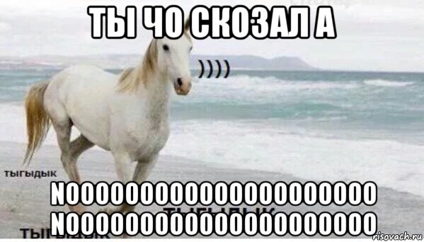 ты чо скозал а nooooooooooooooooooooo nooooooooooooooooooooo, Мем   Тыгыдык