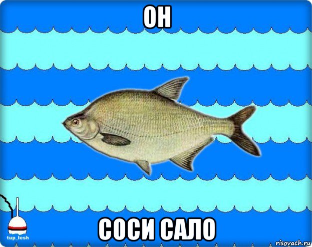 он соси сало