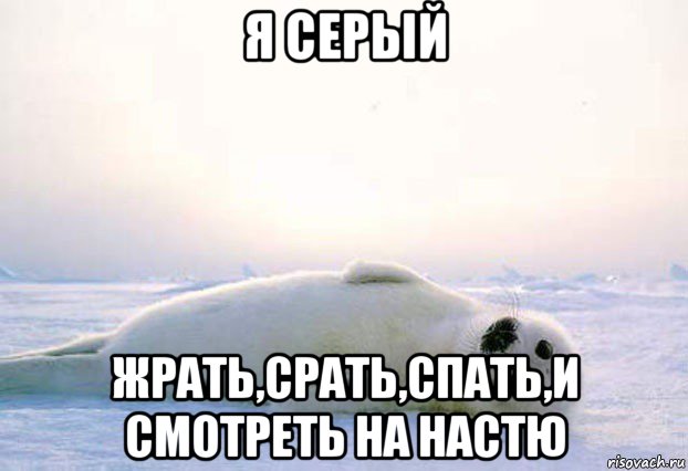 Мир жрать спать картинка