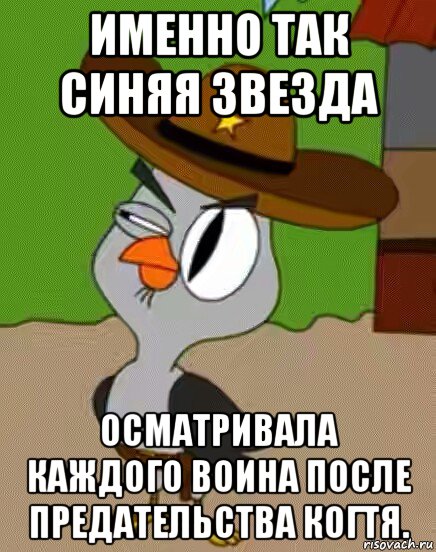 именно так синяя звезда осматривала каждого воина после предательства когтя., Мем    Упоротая сова