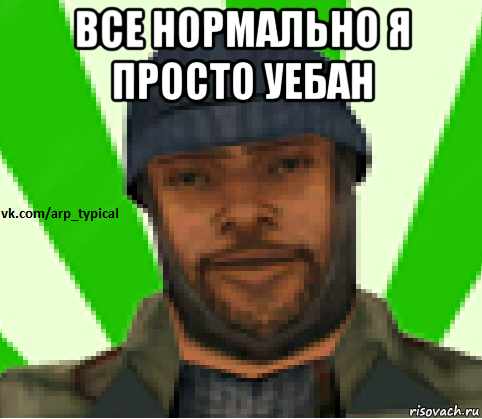 все нормально я просто уебан , Мем Vkcomarptypical