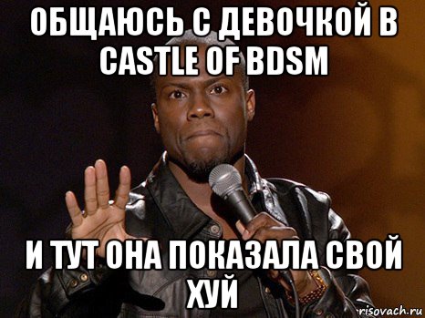 общаюсь с девочкой в castle of bdsm и тут она показала свой хуй, Мем  А теперь представь