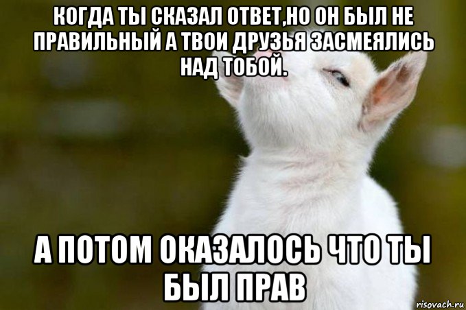 Засмеялся синоним. Ты был прав. Когда ты прав. Когда ты прав Мем. Мем а ты был прав козленок Мем.