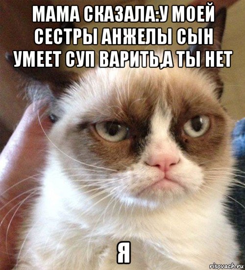 мама сказала:у моей сестры анжелы сын умеет суп варить,а ты нет я, Мем Грустный (сварливый) кот