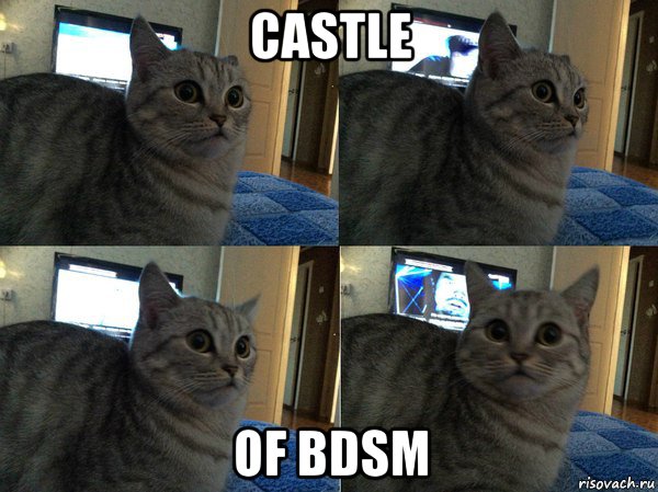 castle of bdsm