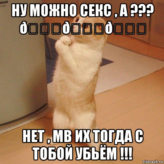 Мем  котэ молится