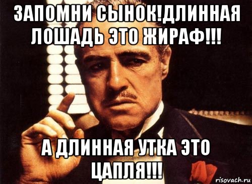 запомни сынок!длинная лошадь это жираф!!! а длинная утка это цапля!!!, Мем крестный отец