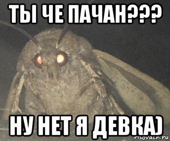 ты че пачан??? ну нет я девка)