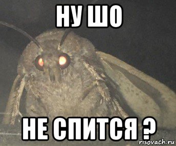 ну шо не спится ?, Мем Матылёк