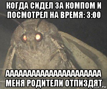 когда сидел за компом и посмотрел на время: 3:00 аааааааааааааааааааааа меня родители отпиздят, Мем Матылёк