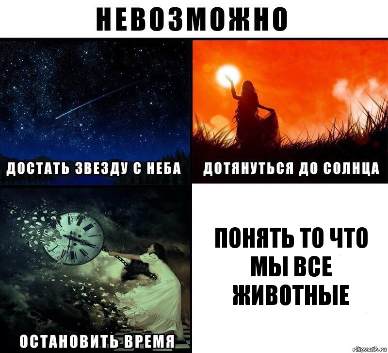 понять то что мы все животные