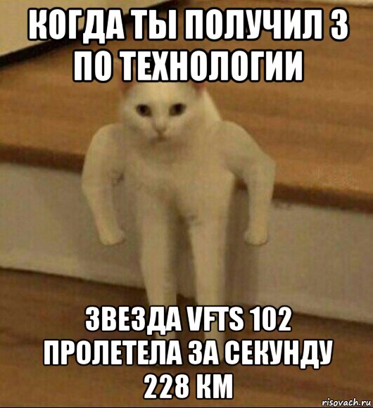 когда ты получил 3 по технологии звезда vfts 102 пролетела за секунду 228 км, Мем  Полукот