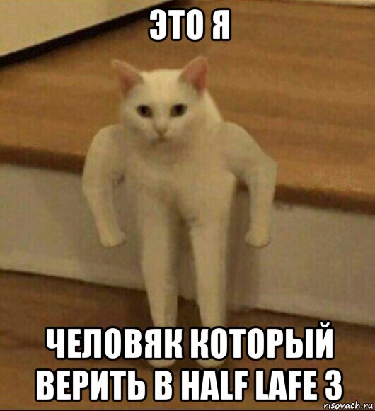 это я человяк который верить в half lafe 3, Мем  Полукот