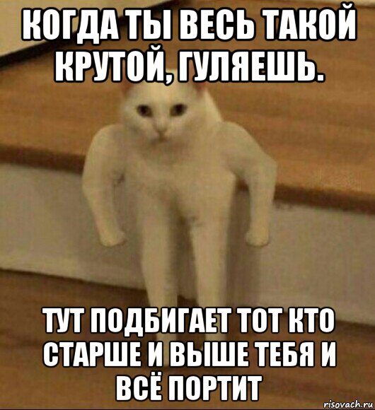 Здесь гулять