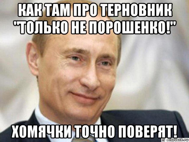 как там про терновник "только не порошенко!" хомячки точно поверят!, Мем Ухмыляющийся Путин